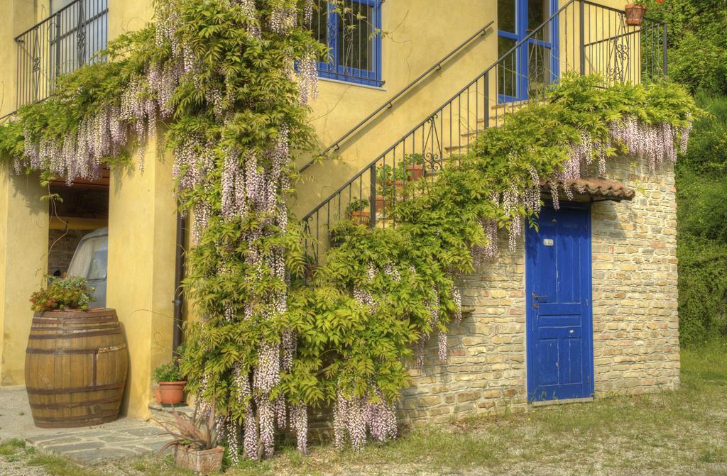 B&B Il Sole Delle Rive Sinio ภายนอก รูปภาพ